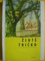 Houka Vtzslav - lut triko